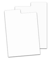 National Geographic Dividers